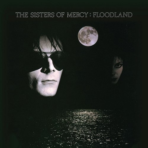 Το εξώφυλλο του άλμπουμ Floodland (1987) των The Sisters of Mercy. Η σκοτεινή, μνημειακή εικονογραφία, με την υποβλητική ασπρόμαυρη αισθητική, αποτυπώνει το γοτθικό ιδίωμα της γκοθ ροκ σκηνής, της οποίας το συγκρότημα υπήρξε από τους κορυφαίους εκπροσώπους.