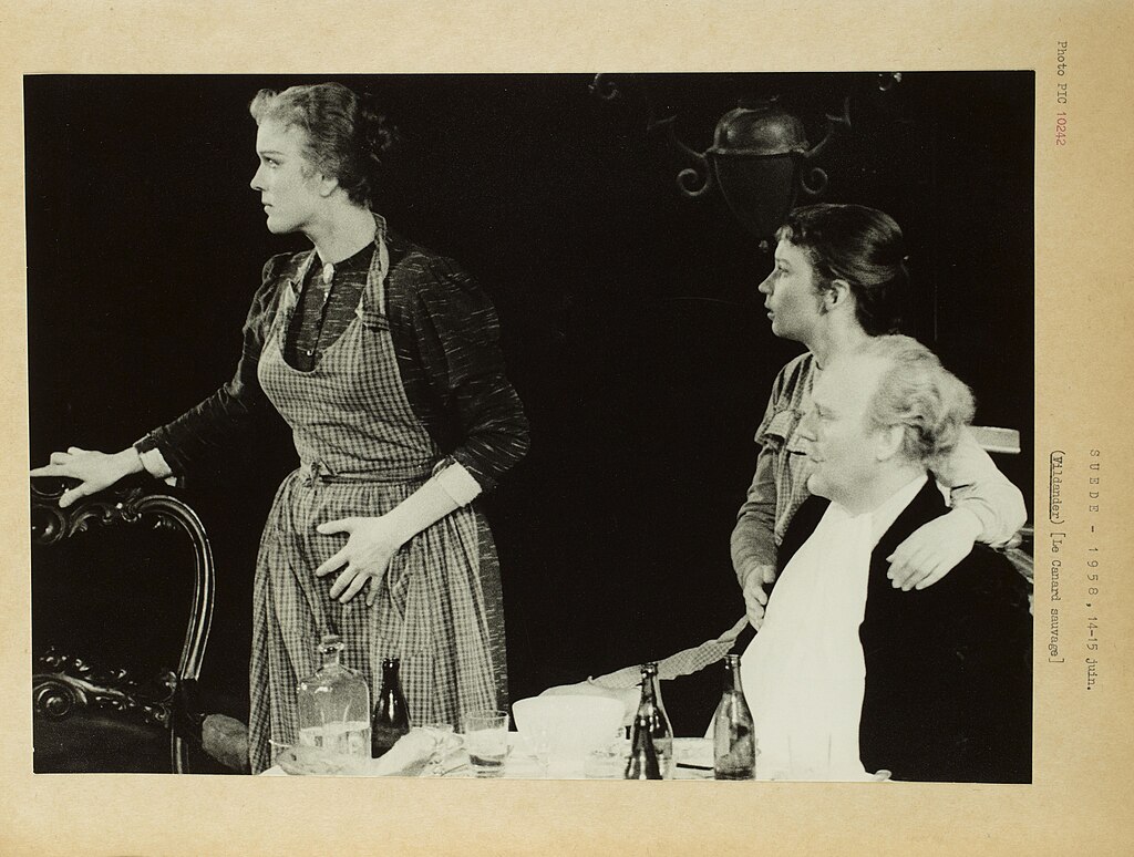 Φωτογραφία του [[#Roger Pic [Ροζέ Πικ]#]] αποτυπώνει μια σκηνή από την παράσταση του έργου&nbsp;Η Αγριόπαπια&nbsp;[Vildanden] του [[#Henrik Ibsen [Ερρίκος Ίψεν]#]], η οποία πραγματοποιήθηκε στις 14 Ιουνίου 1958 στο θέατρο&nbsp;Théâtre Sarah Bernhardt&nbsp;στο Παρίσι. Η παραγωγή ανέβηκε σε σκηνοθεσία του [[#Alf Sjoeberg [Άλφ Σιέμπεργκ]#]]. Μέσα από τη φωτογραφική καταγραφή αναδεικνύεται η σκηνική ατμόσφαιρα και η ερμηνευτική γραμμή της συγκεκριμένης παραγωγής, προσφέροντας πολύτιμα στοιχεία για τη μελέτη της παραστασιολογίας και την εξέλιξη της ρεαλιστικής απεικόνισης στην ευρωπαϊκή σκηνή. 