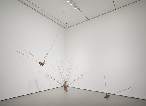 [[#Senga Nengudi [Σένγκα Νενγκούντι]#]], R.S.V.P.I., 1977/2003. Νέα Υόρκη, ΜοΜΑ, Vital Signs: Artists and the Body, 2024. Το R.S.V.P.I. ανήκει σε μια σειρά γλυπτών που αποτελούνται από καλσόν γεμισμένα με άμμο και τεντωμένα μέσα στον χώρο. Κατά την πρώτη παρουσίαση του έργου, η καλλιτέχνις και οι συνεργάτες της δημιουργούσαν χορογραφία, τεντώνοντας, παραμορφώνοντας και μπερδεύοντας το σώμα τους ανάμεσα στις νάιλον μορφές. 