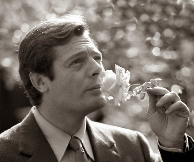 O Marcello Mastroianni [Μαρτσέλλο Μαστρογιάννι] εκπροσωπεί τον τύπο του λατίνου εραστή [Latin lover], ο οποίος μετέφερε τη ρομαντική αύρα του ζεν πρεμιέ στη μεγάλη οθόνη, προσθέτοντας στοιχεία μεσογειακού αισθησιασμού και φλοεγερού «εξωτισμού». 